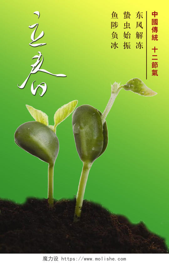 二十四节气立春春天种子发芽绿色清新背景海报